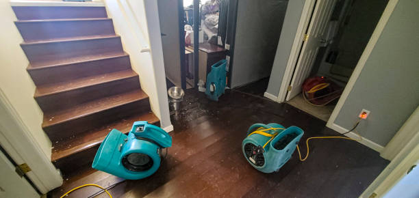 Best Emergency water damage restoration  in South Floral Park, NY
